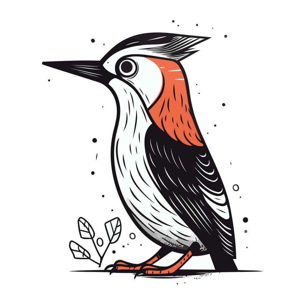 specht vogel vector illustratie. hand- getrokken schetsen van specht.