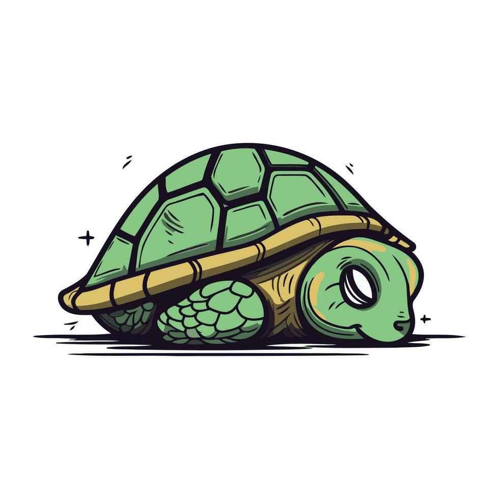 schildpad schetsen geïsoleerd Aan wit achtergrond. hand- getrokken vector illustratie.