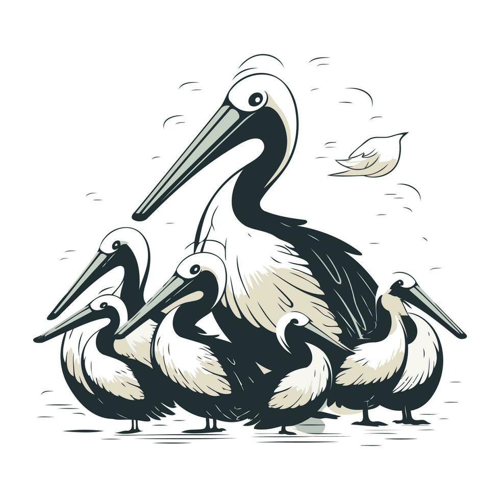 pelikaan familie. vector illustratie geïsoleerd Aan een wit achtergrond.