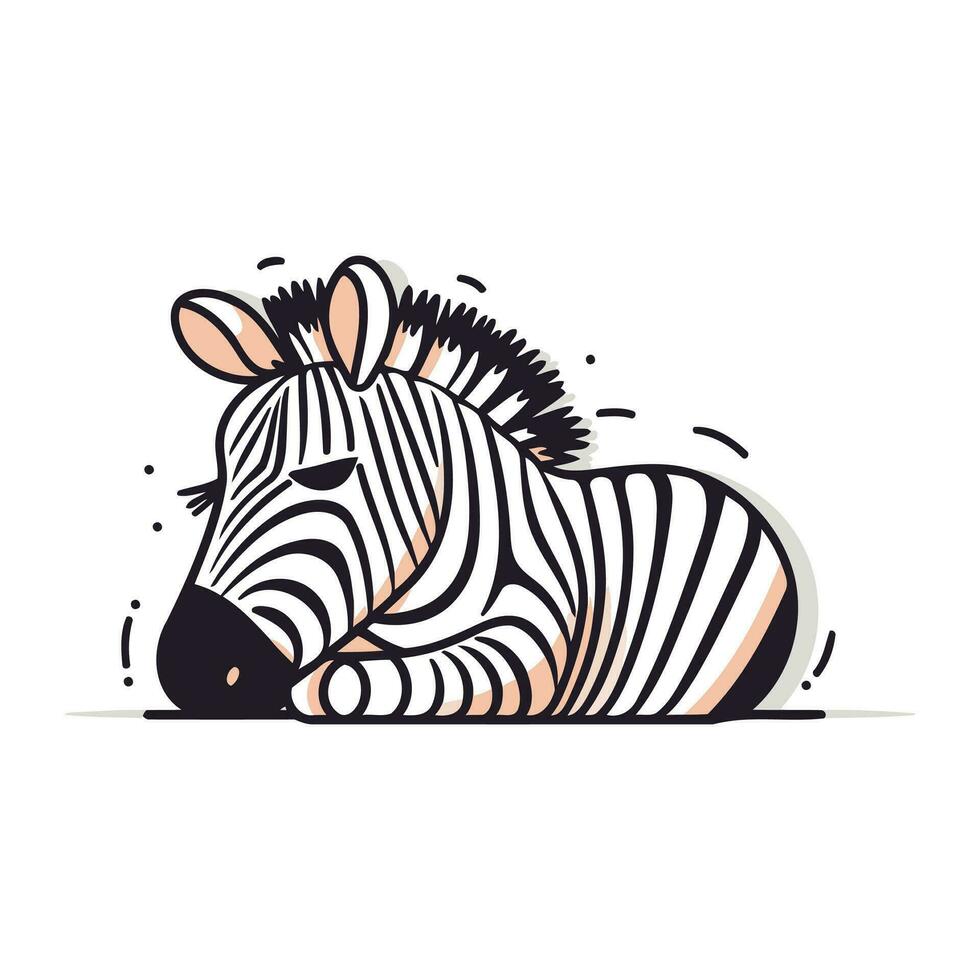 zebra vector illustratie. geïsoleerd Aan wit achtergrond. vector illustratie.
