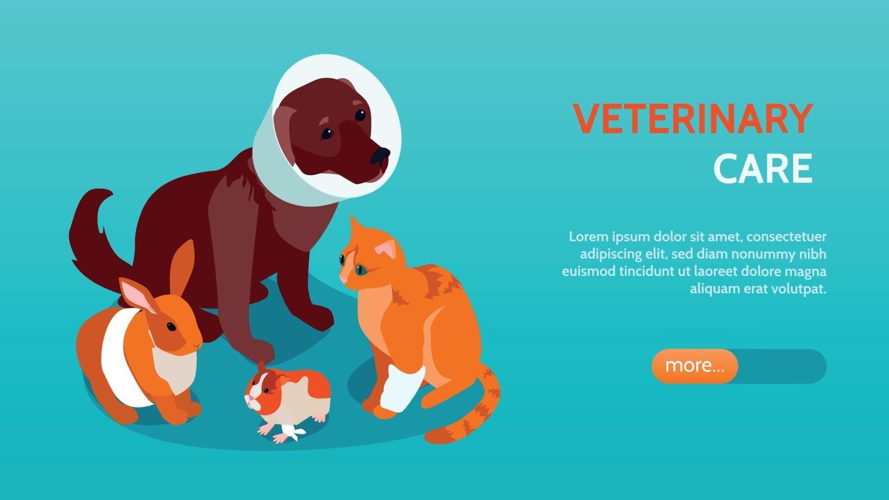 horizontale en isometrische veterinaire banner vector