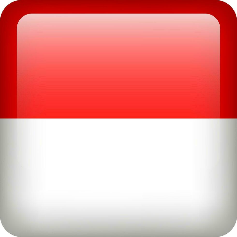 Indonesië vlag knop. plein embleem van Indonesië. vector Indonesië vlag, symbool. kleuren correct.