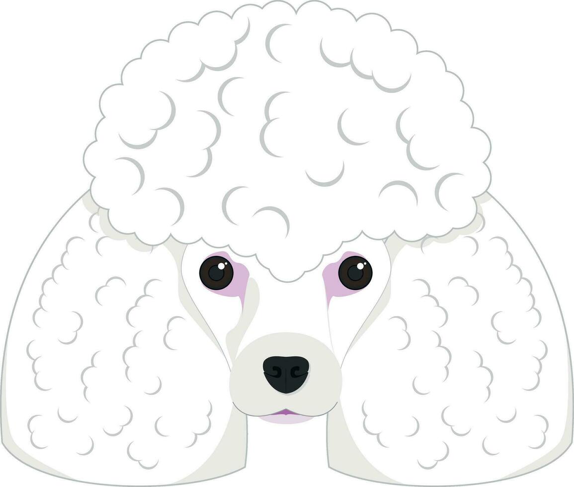 poedel hond geïsoleerd Aan wit achtergrond vector illustratie