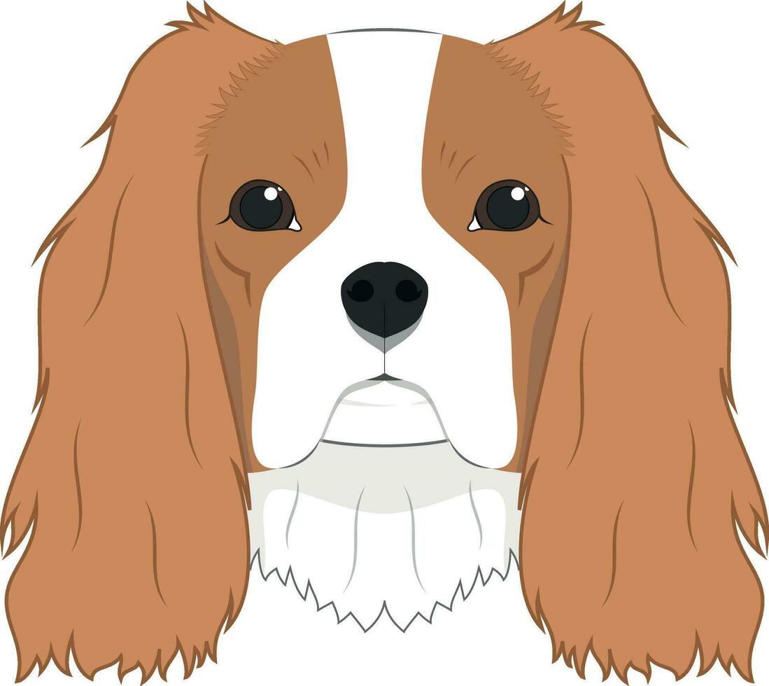 cavalier koning Charles spaniel hond geïsoleerd Aan wit achtergrond vector illustratie