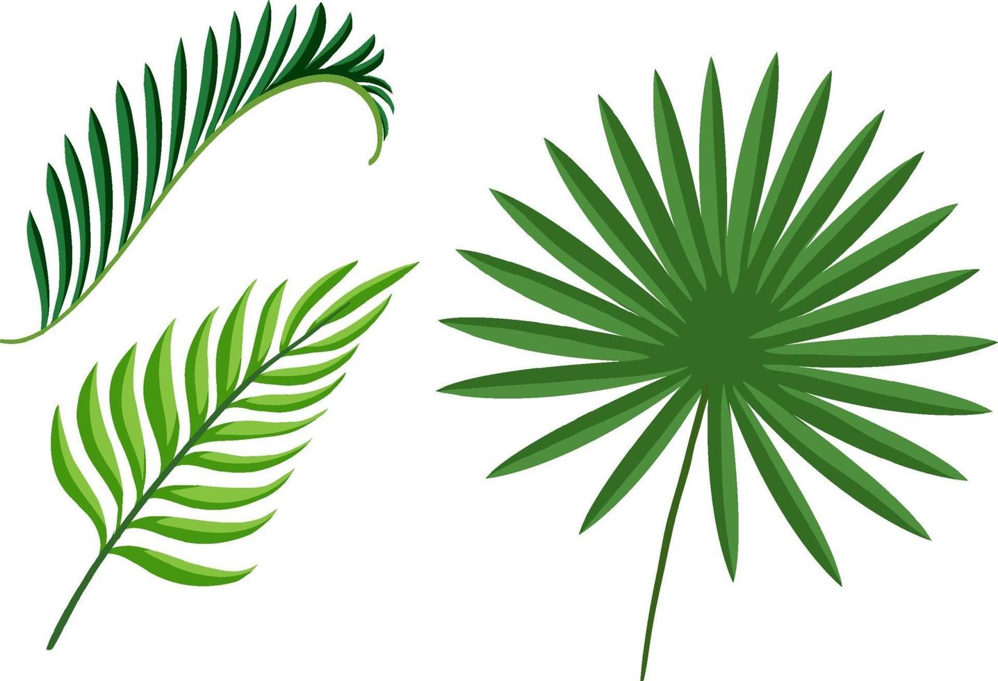 set tropische groene plantenbladeren vector