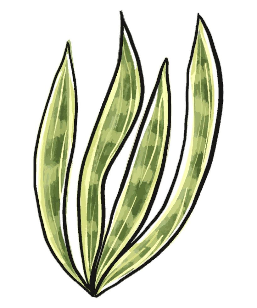 cactus in een aquarel stijl geïsoleerd op een witte achtergrond. vector