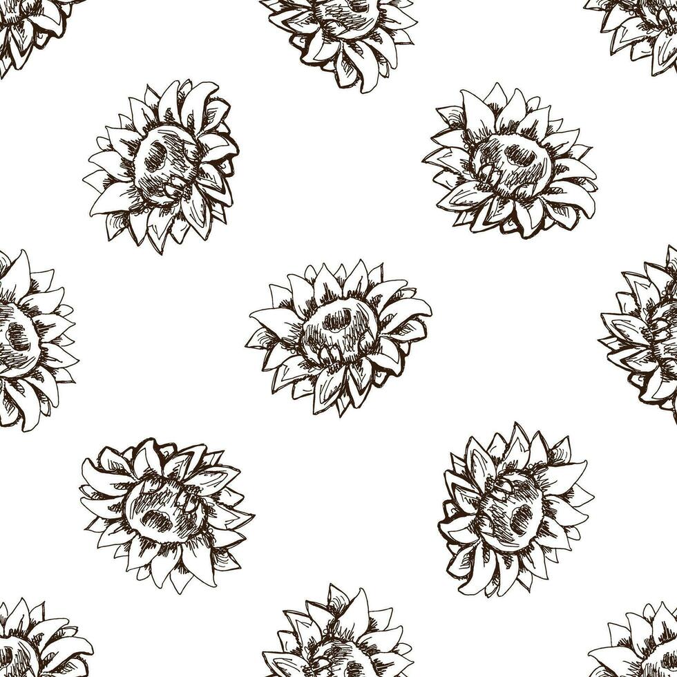 naadloos patroon van hand- getrokken zonnebloem. monochroom bloem tekening. zwart en wit wijnoogst element. vector schetsen. gedetailleerd retro stijl.