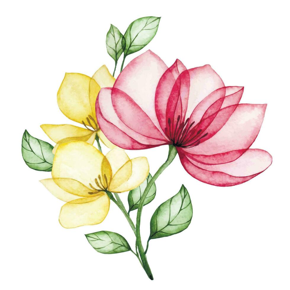 waterverf tekening, boeket van transparant roos bloemen, röntgenfoto. arrangement van roze bloemen, vakantie decoratie vector