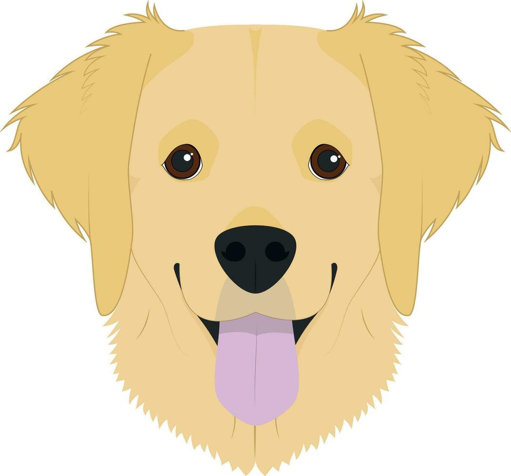 gouden retriever hond geïsoleerd Aan wit achtergrond vector illustratie