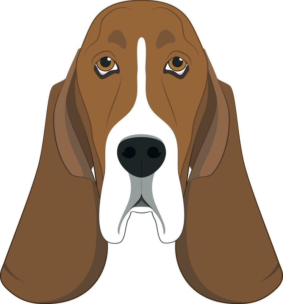 basset hond hond geïsoleerd Aan wit achtergrond vector illustratie