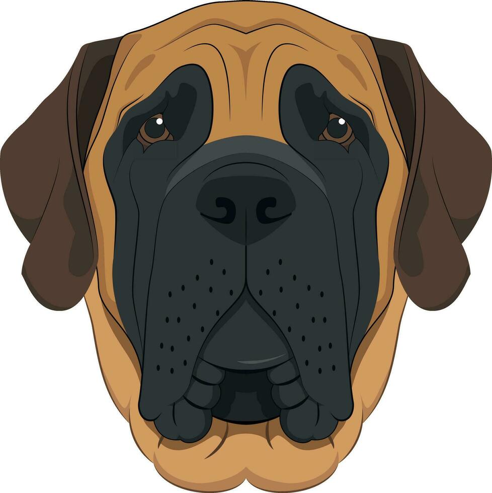 Engels mastiff hond geïsoleerd Aan wit achtergrond vector illustratie