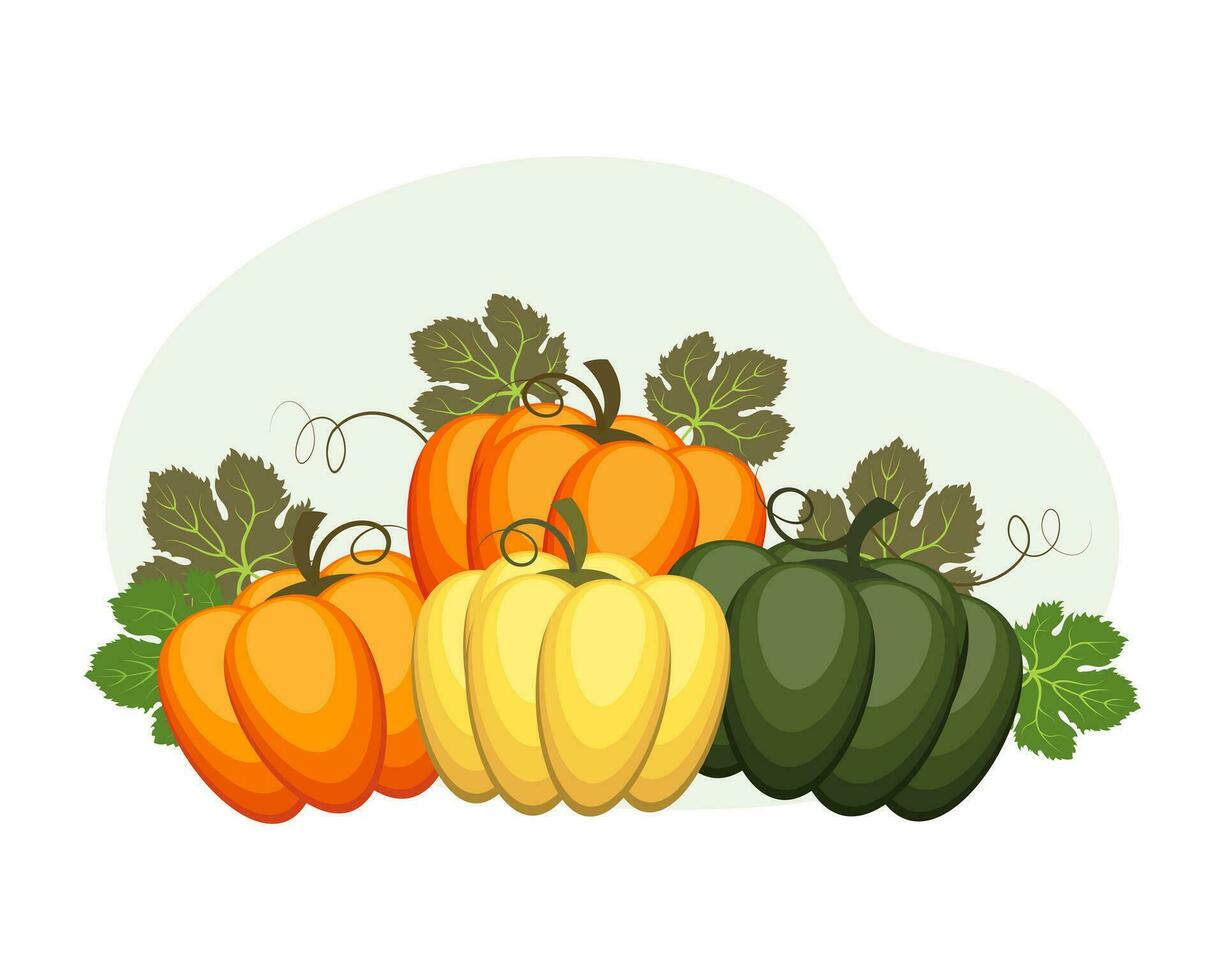 kleurrijk herfst pompoenen samenstelling, dankzegging. illustratie, ansichtkaart, vector