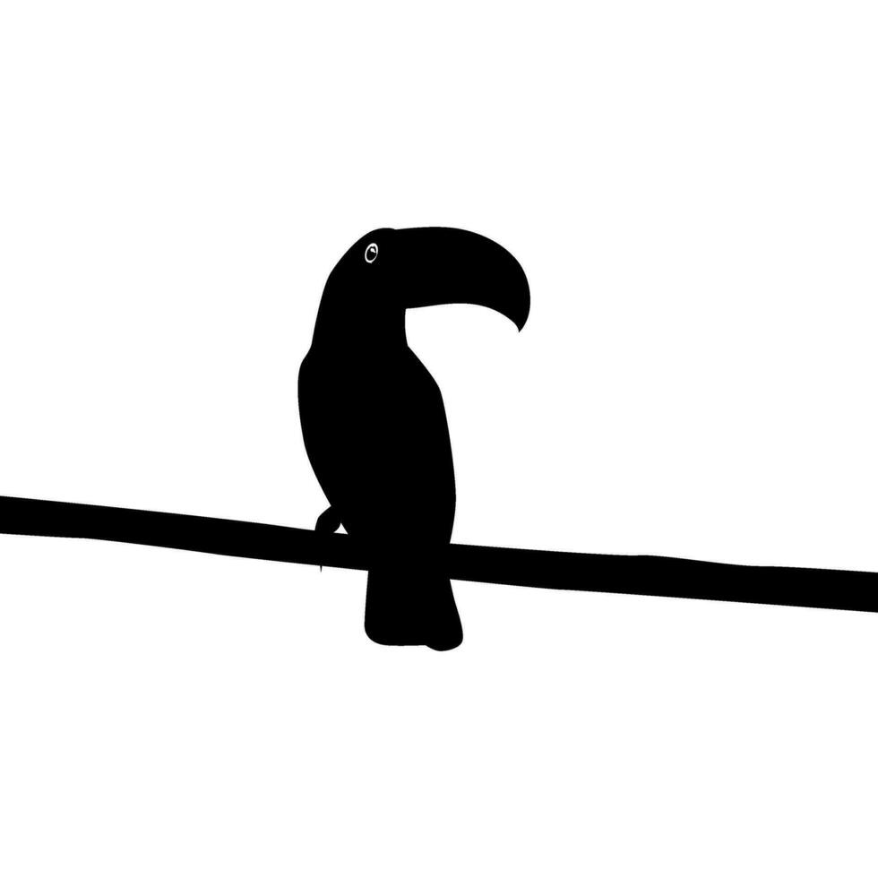 toekans zijn neotropisch leden van de in de buurt passerine vogel familie ramphastidae. de ramphastidae zijn meest nauw verwant naar de Amerikaans baardvogels, vogel silhouet. vector illustratie