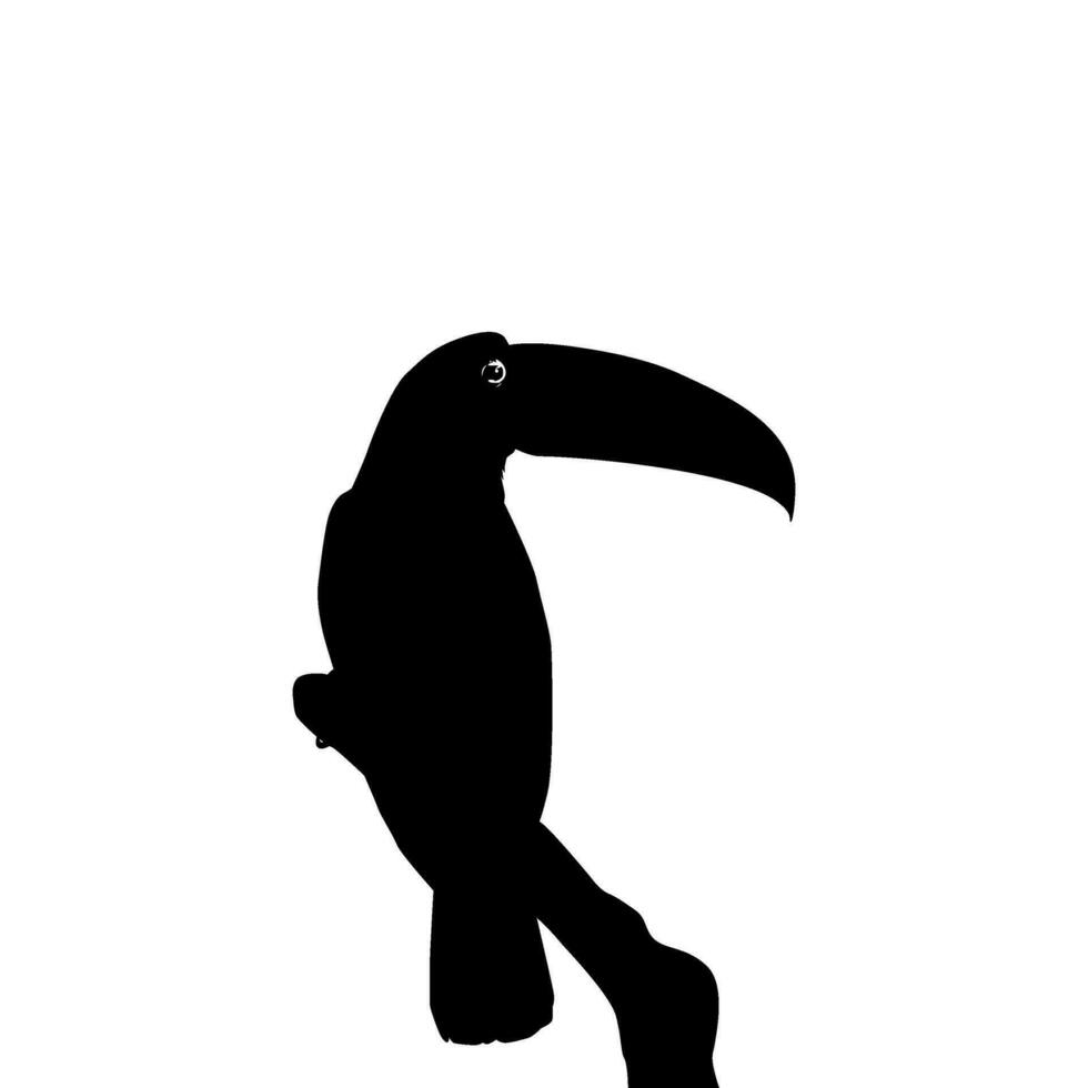 toekans zijn neotropisch leden van de in de buurt passerine vogel familie ramphastidae. de ramphastidae zijn meest nauw verwant naar de Amerikaans baardvogels, vogel silhouet. vector illustratie