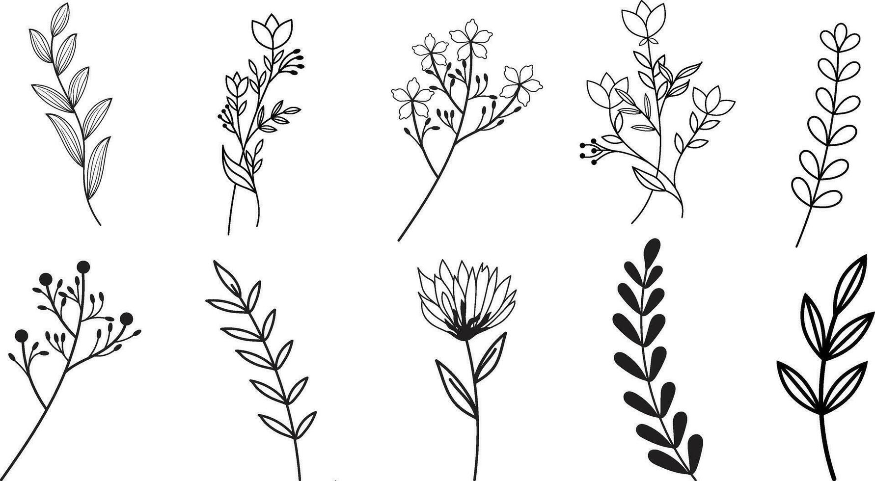 vector botanisch abstract lijn kunst, hand getekend kruiden, bloemen, bladeren, en takken.