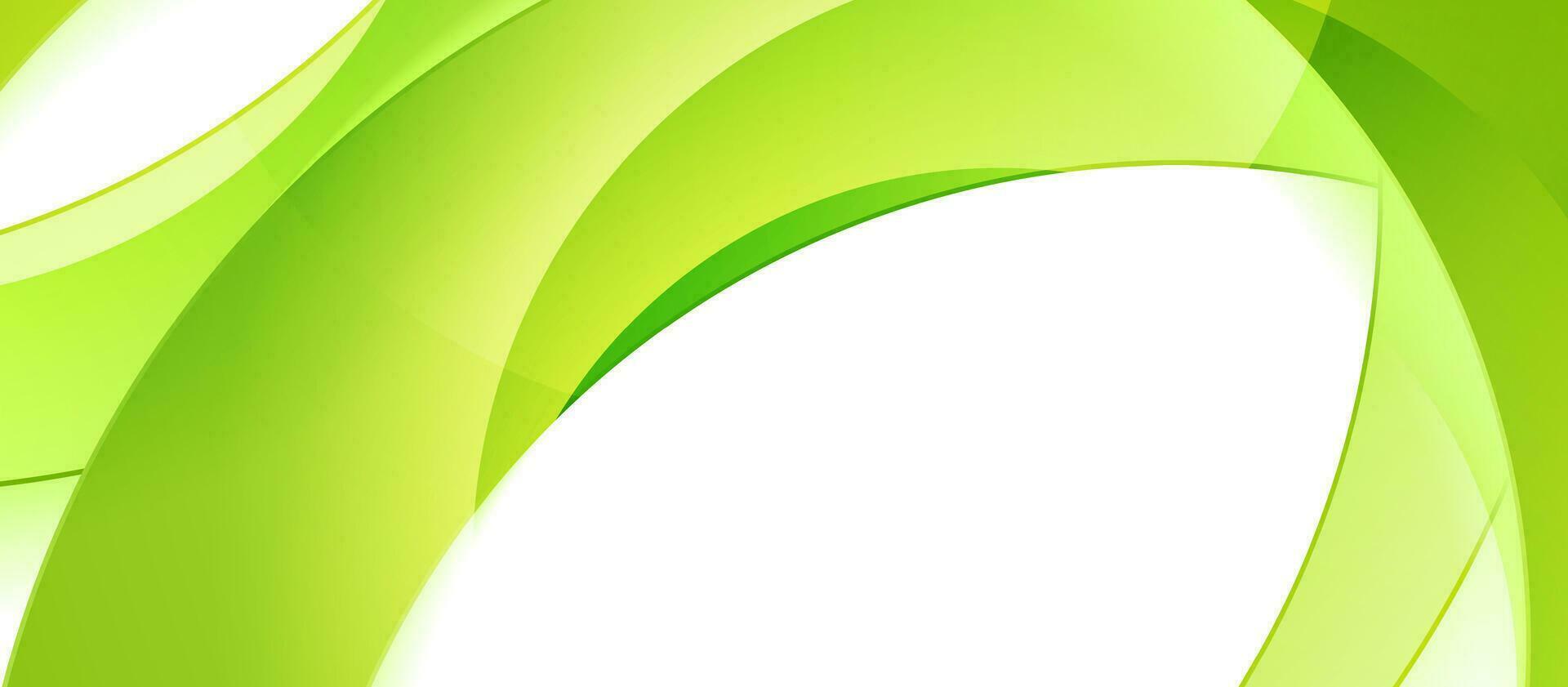 groen wit meetkundig tech achtergrond met glanzend golvend vormen vector