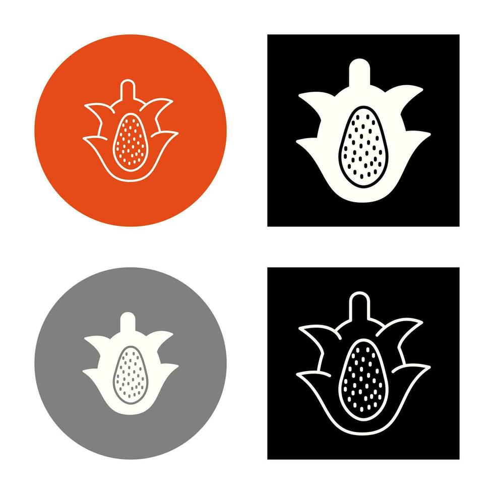 draak fruit vector icoon