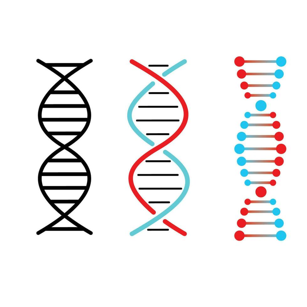 dna icoon vector illustratie. menselijk genetisch structuur teken en symbool.