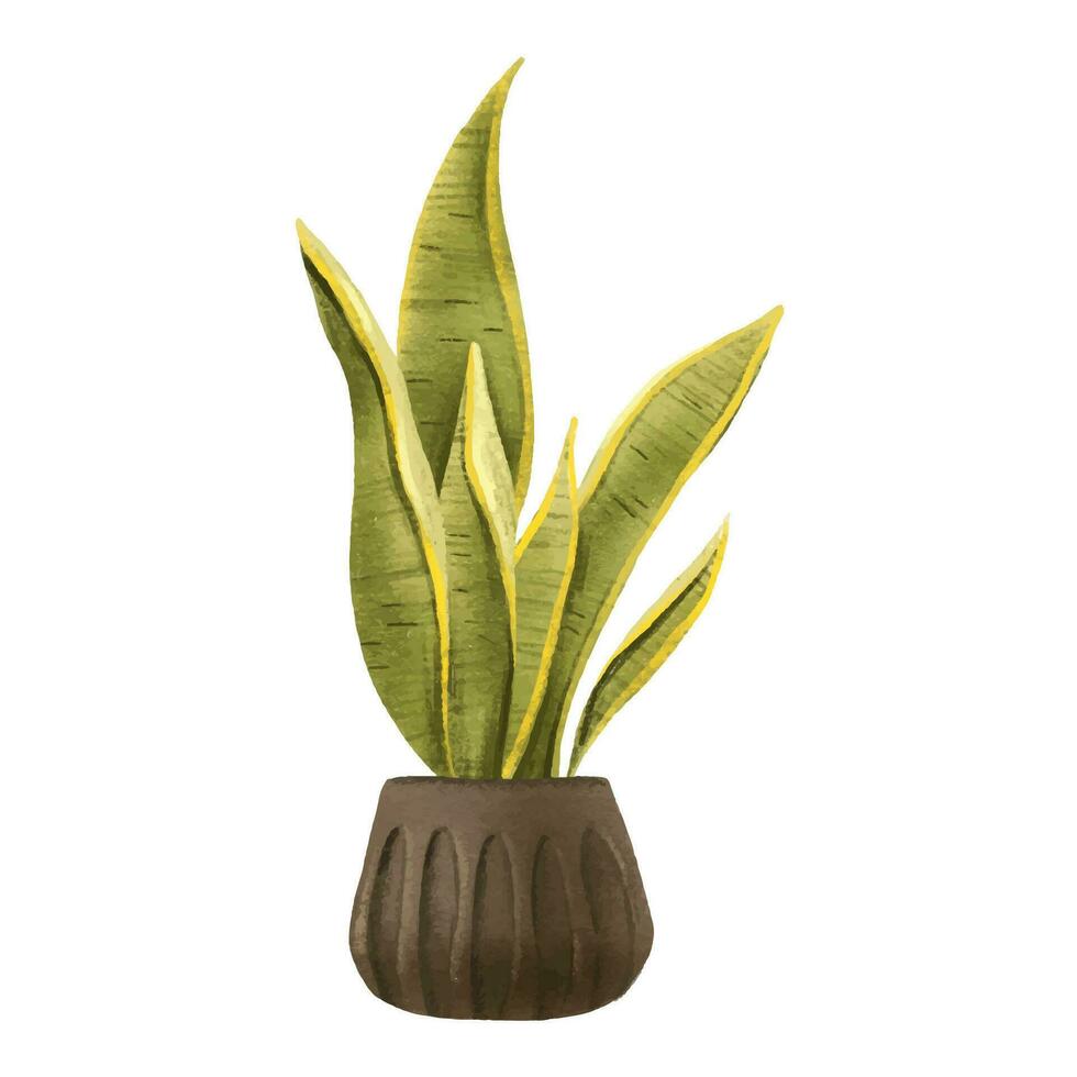 slang plant, sappig, sanseveria. kamerplant in pot. huis bloem. geïsoleerd illustratie met binnen- fabriek. knus huis vector