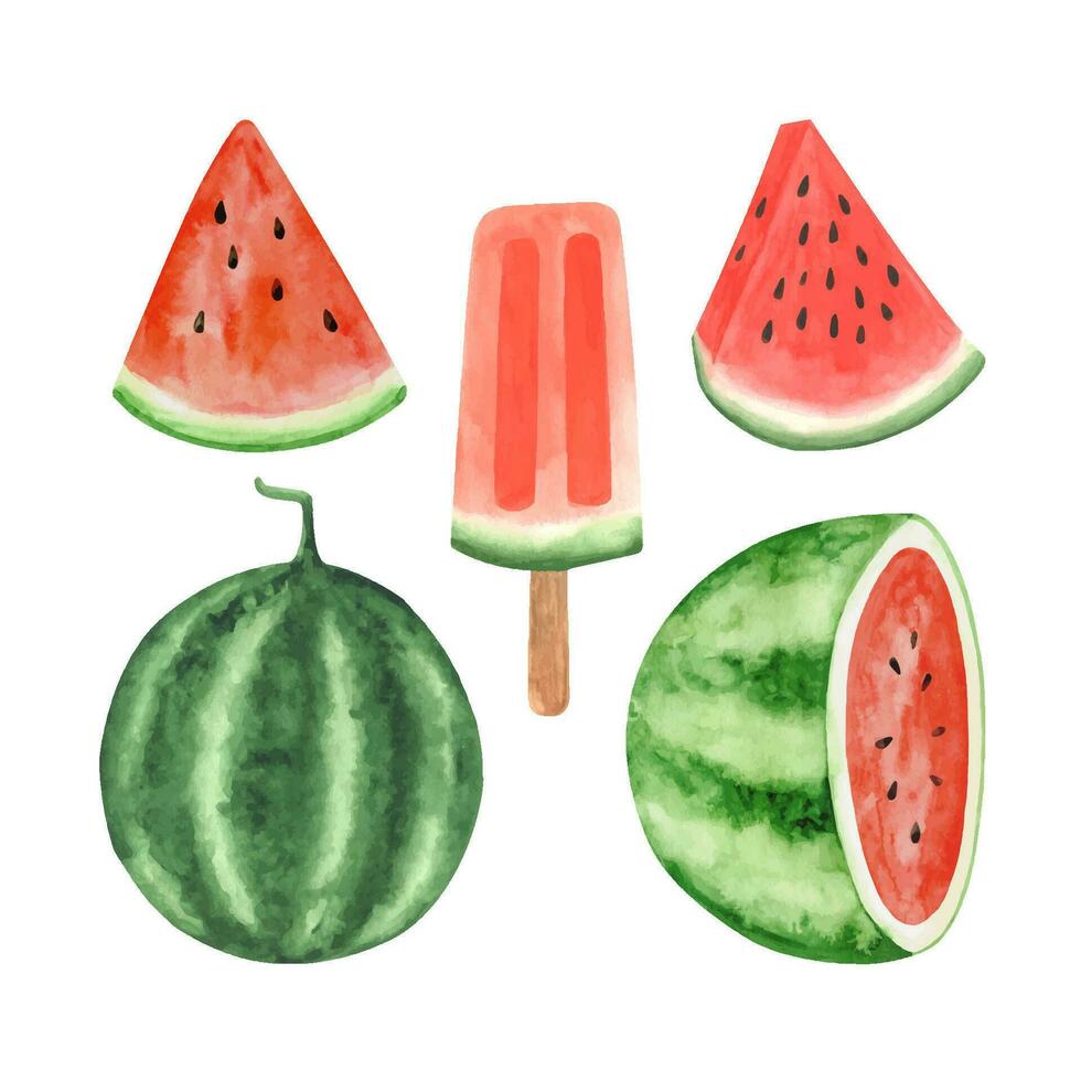 waterverf watermeloen clip art set, zomer rijp fruit, watermeloen partij vector