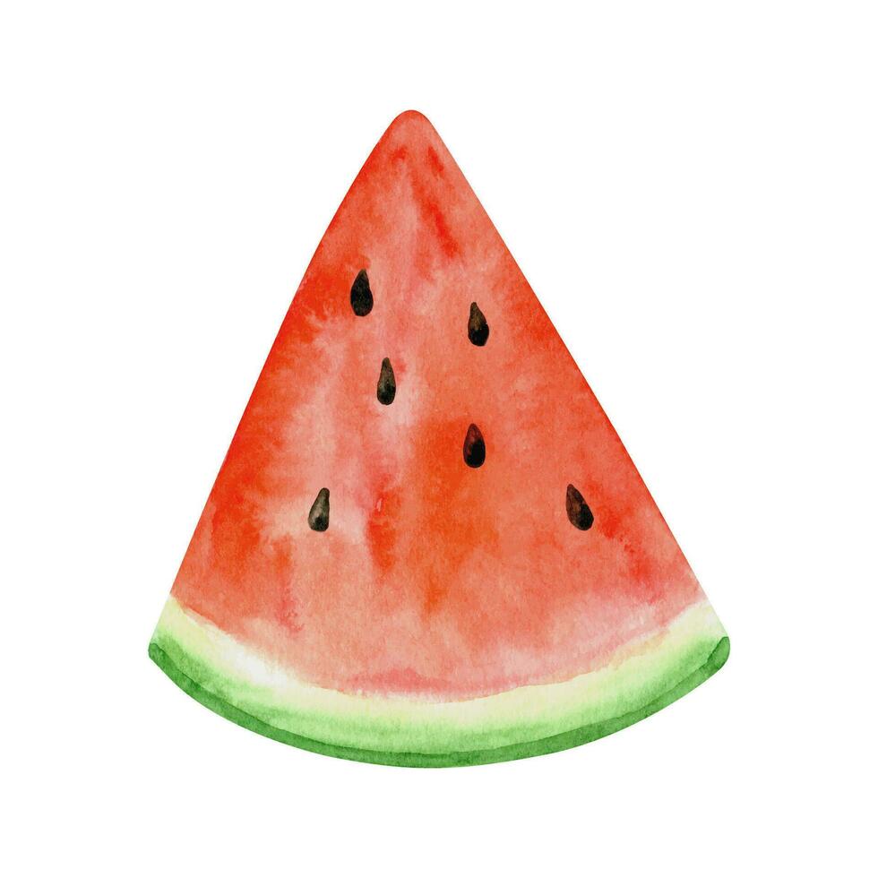 waterverf watermeloen clip art, zomer rijp fruit, watermeloen partij vector