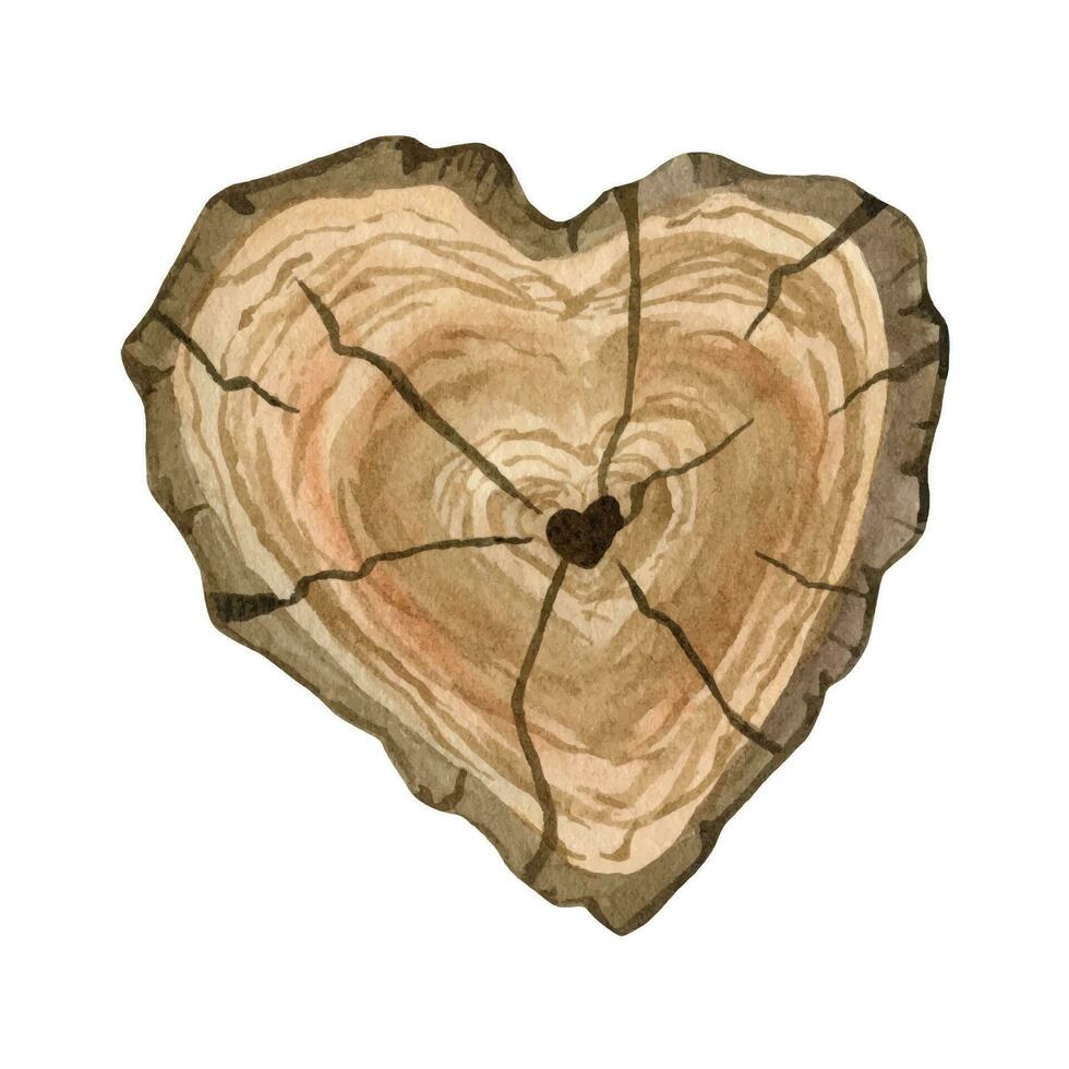 rustiek hout plakjes clip art in hart vorm geven aan. hand- getrokken waterverf clip art voor bruiloft uitnodigingen vector