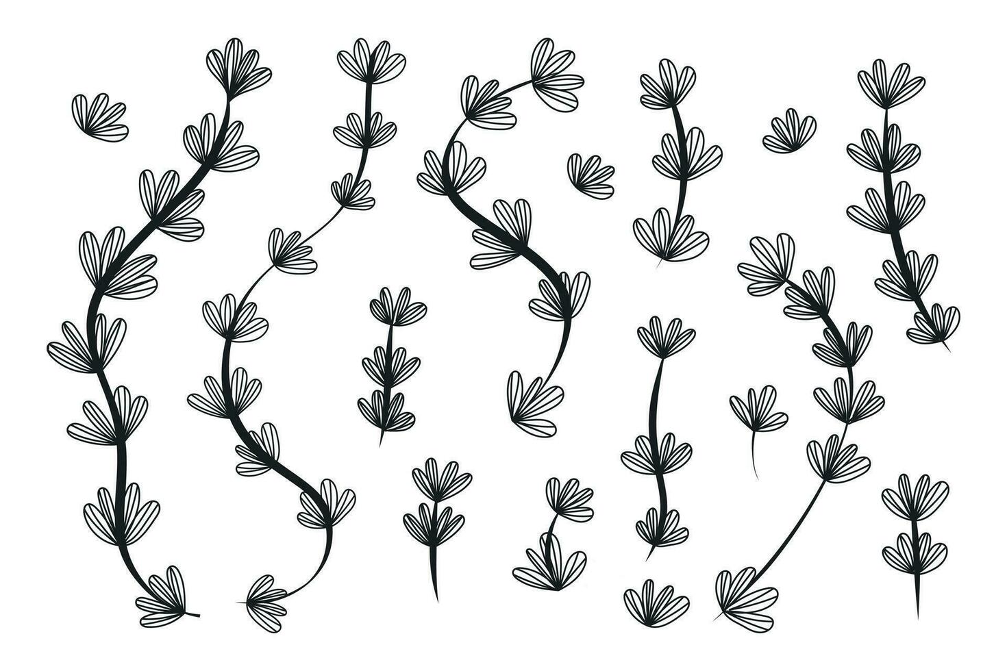 reeks van vector geïsoleerd decoratief zwart takken met bladeren. verzameling van botanisch takjes, schetsen stijl.
