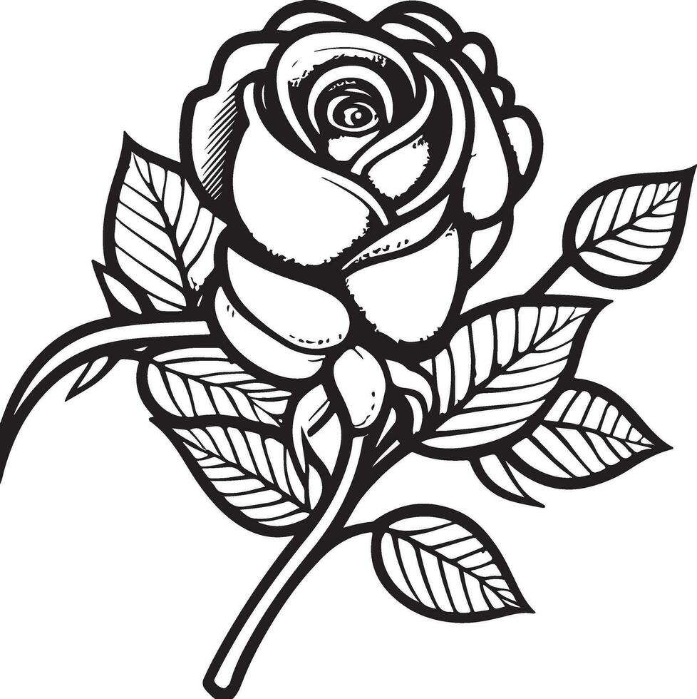 roos bloem clip art zwart wit afbeeldingen. hand- getrokken rozen. schetsen roos bloemen met bladeren vector