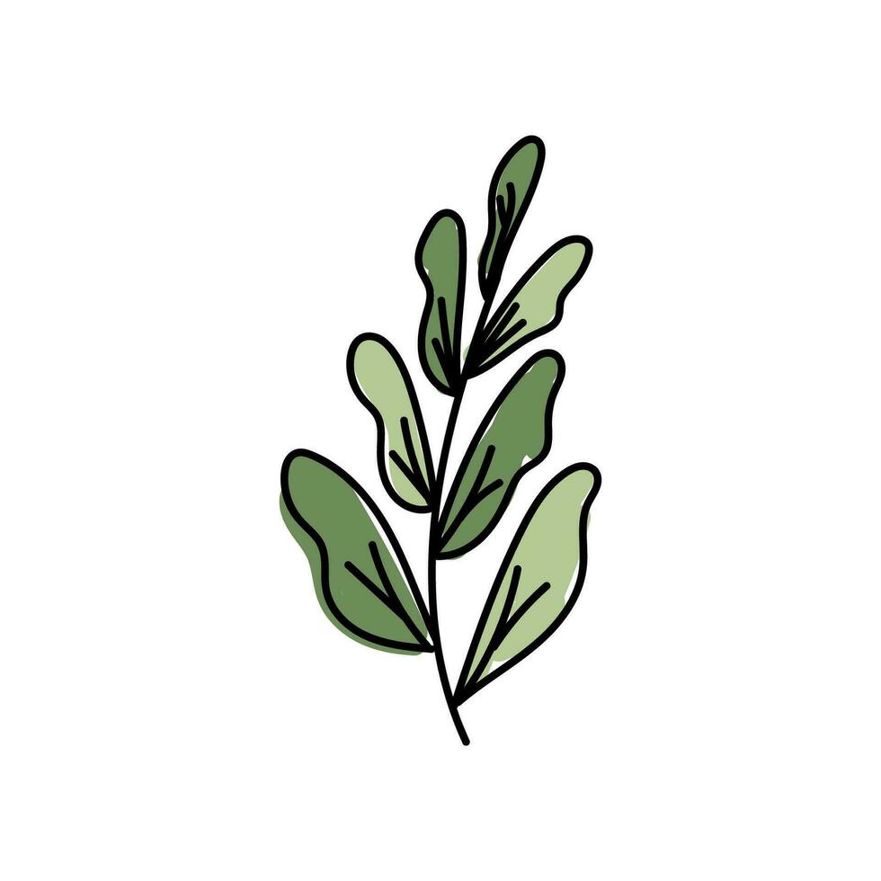 vector illustratie van bladeren met schets. hand- getrokken blad logo symbool.
