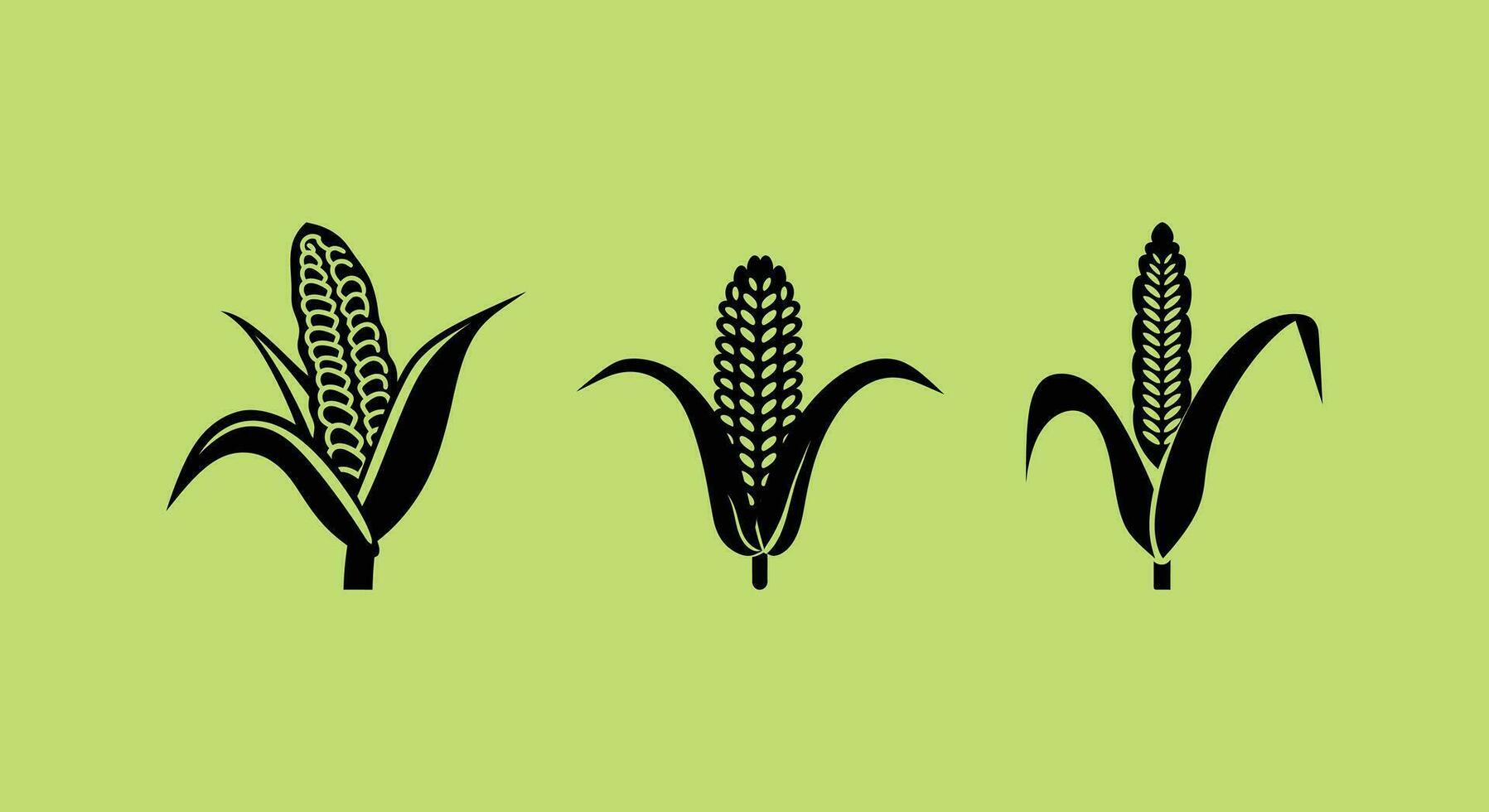 boerderij vers maïs vector grafiek voor agrarisch projecten