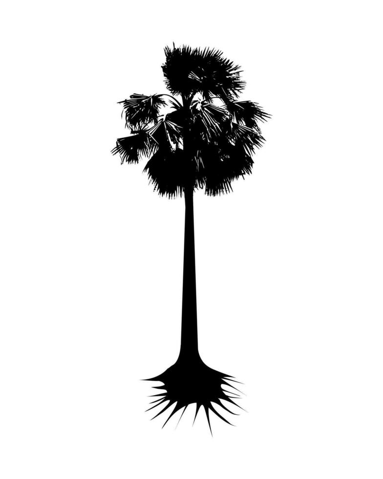 palm boom silhouet vector illustratie, silhouet van palm boom Aan wit achtergrond vector kunst, zwart kleur ,