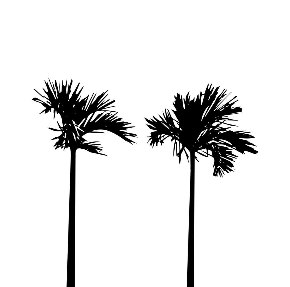 palm bomen silhouet vector reeks zwart en wit kleur