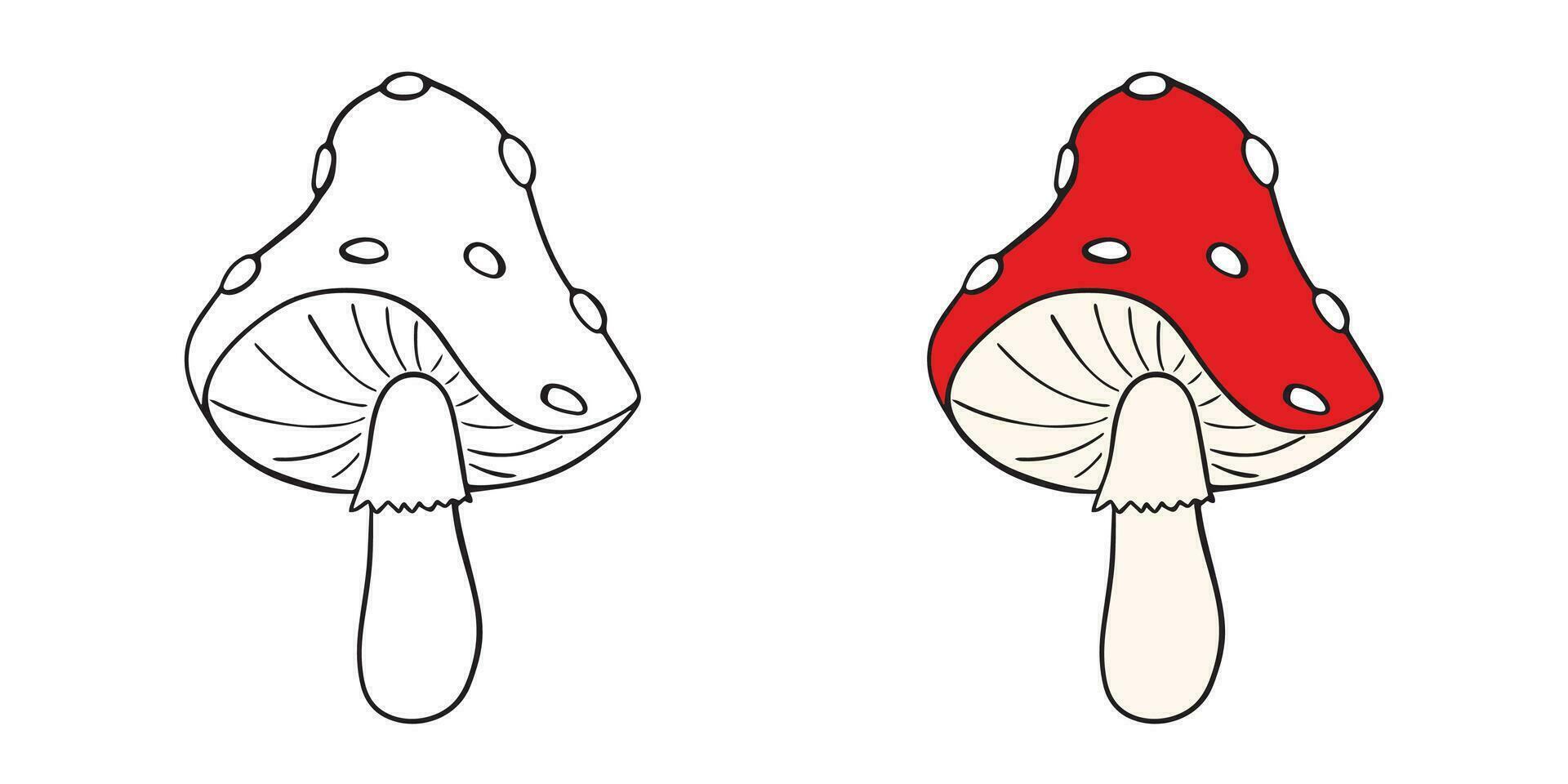 vlieg agaric met rood pet en wit stippen. bladzijde voor een kinderen kleur boek. amanita Aan een wit achtergrond. vector illustratie