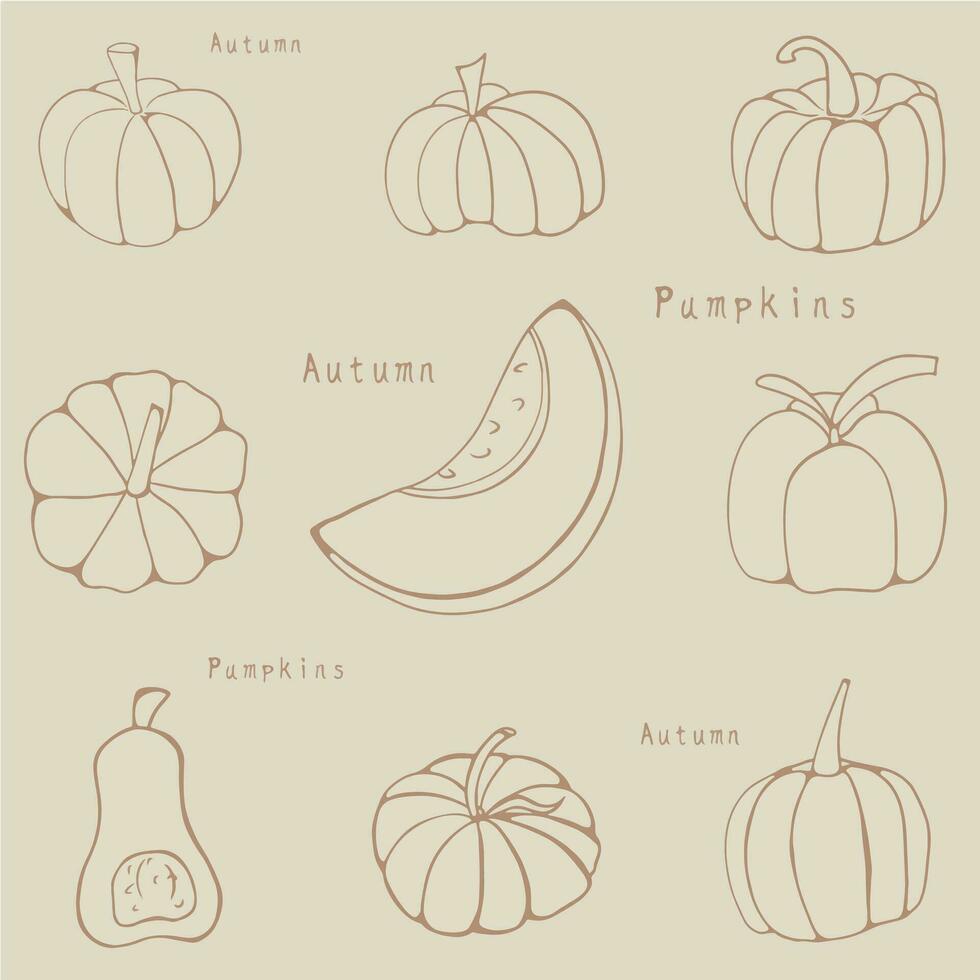 pompoen squash voor halloween of dankzegging is een vlak icoon voor apps en websites. een reeks van pompoenen voor het drukken Aan notitieboekjes, dekt, textiel, kleren. vector
