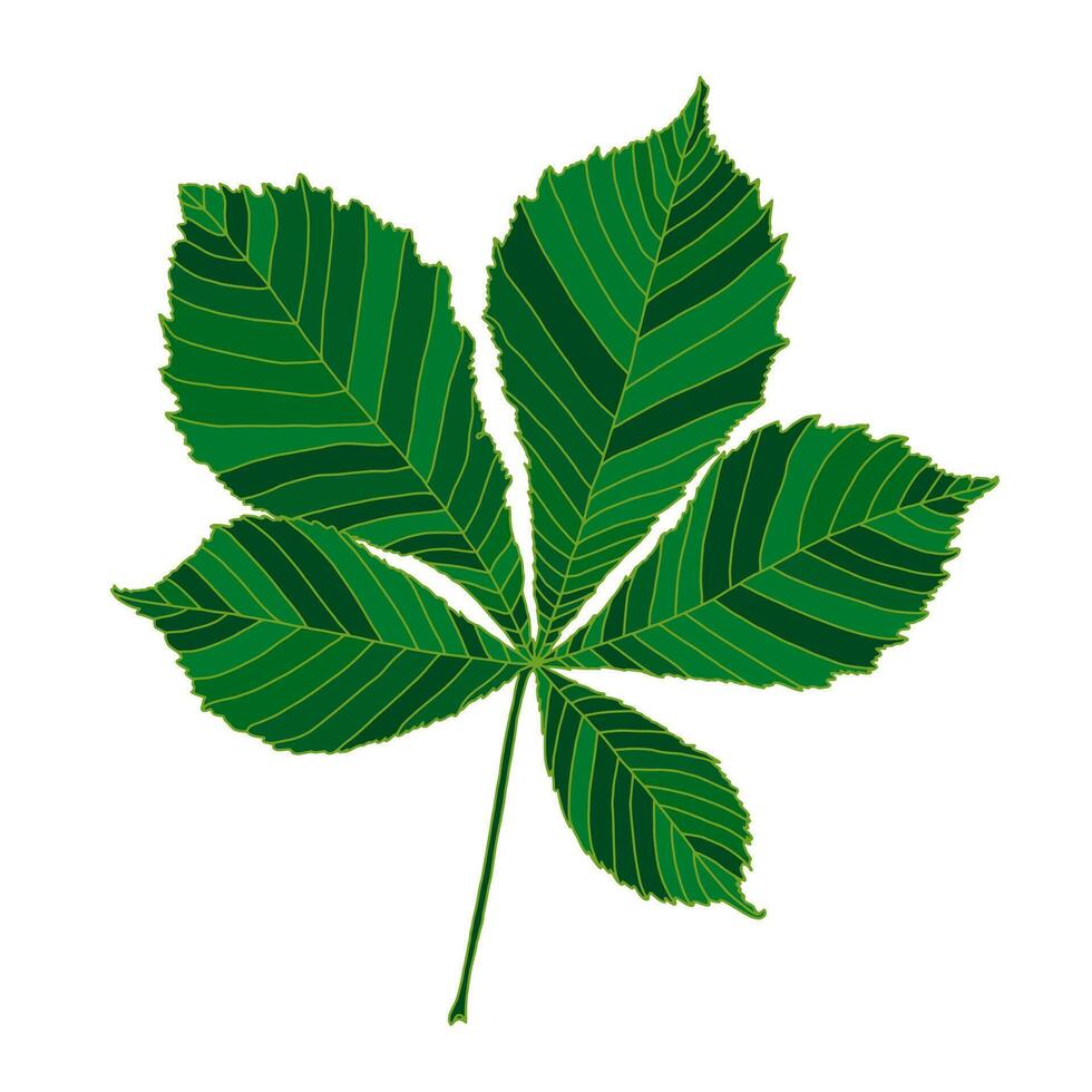 groen silhouet kastanje boom blad geïsoleerd Aan wit achtergrond. ontwerp element voor decoreren. vector