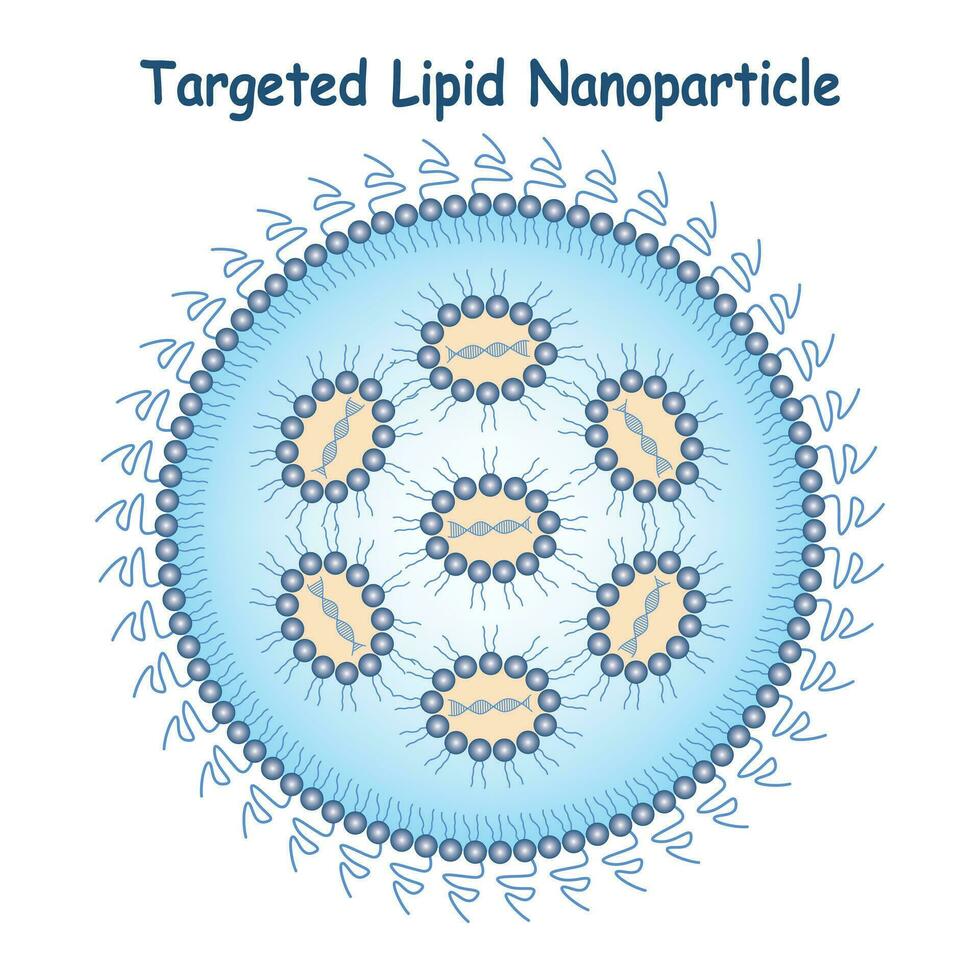 gericht lipide nanodeeltjes wetenschap ontwerp vector ontwerp illustratie