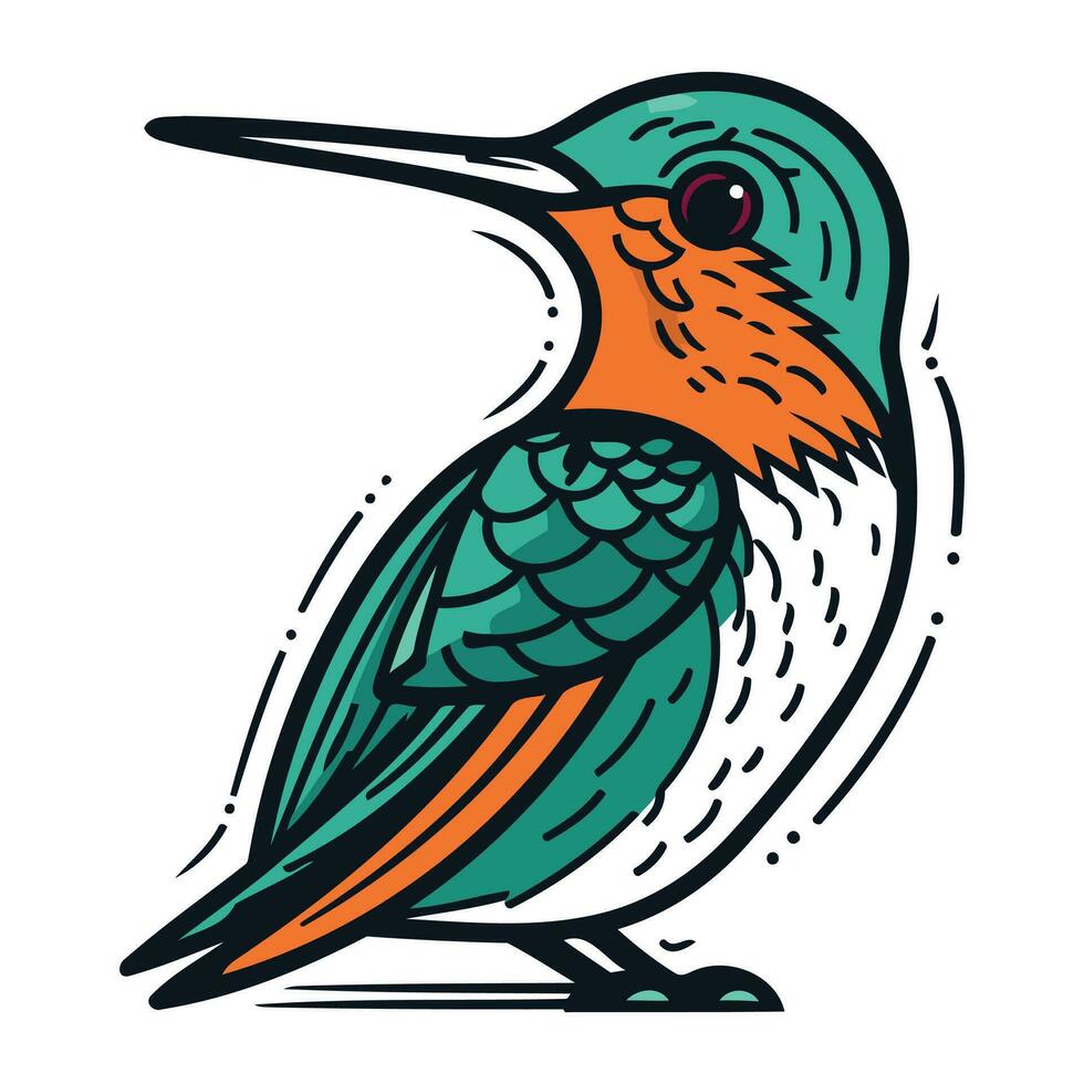 colibri vogel. hand- getrokken vector illustratie in tekenfilm stijl.