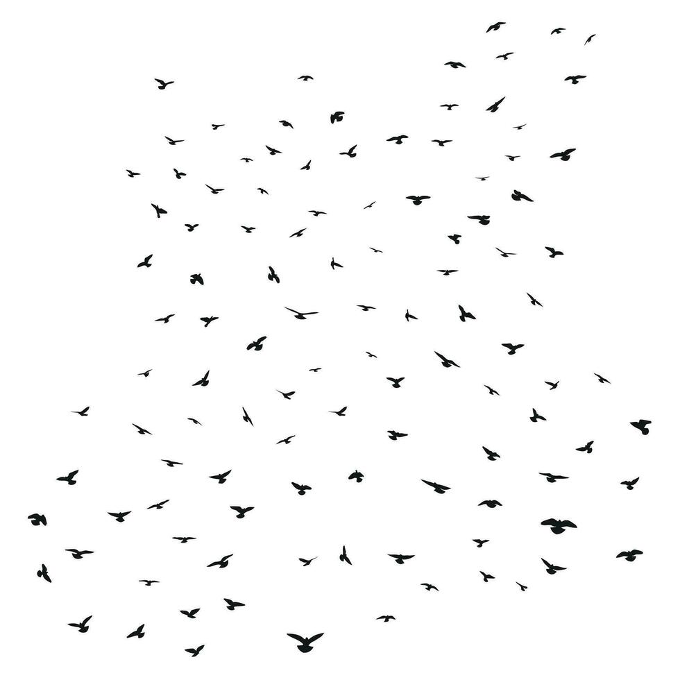 silhouet van een kudde van vliegend vogelstand vector