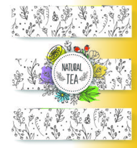 Kruidenthee banners collectie. Organische kruiden en wilde bloemen. Hand geschetst vruchten bessen illustratie. vector