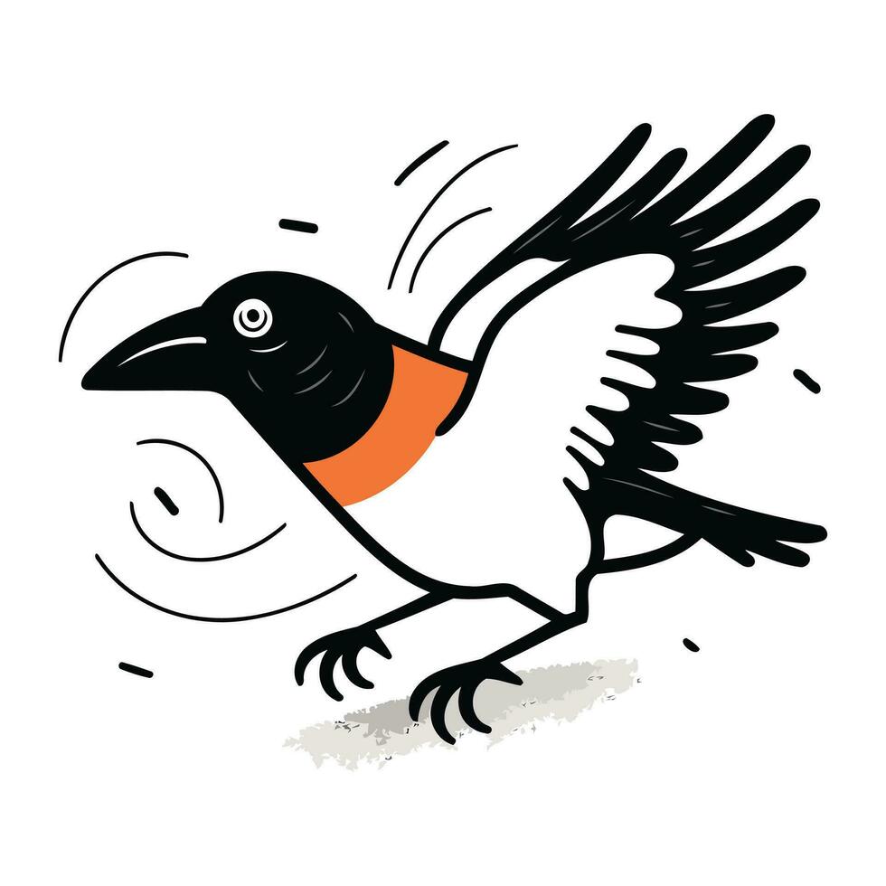 kraai vliegend Aan een wit achtergrond. vector illustratie van een vogel.