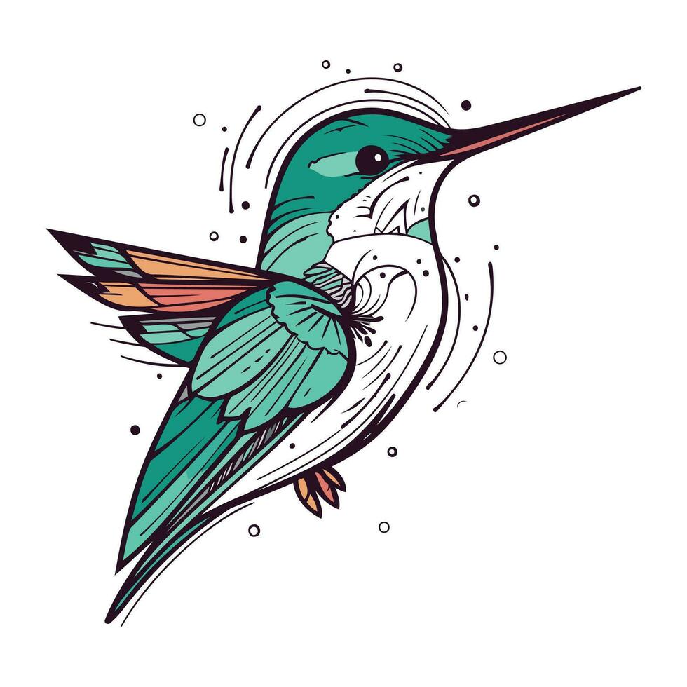 kolibrie hand- getrokken vector illustratie. geïsoleerd Aan wit achtergrond.