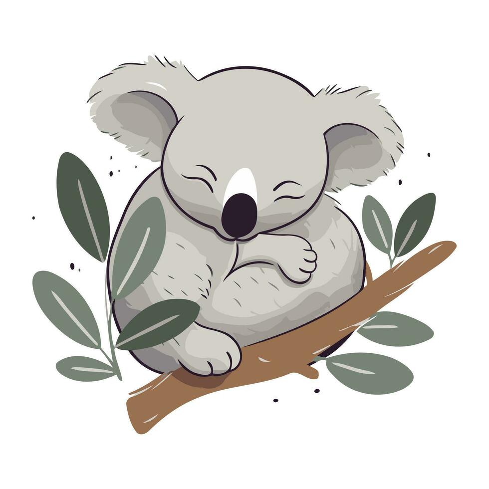 schattig koala slapen Aan eucalyptus Afdeling. vector illustratie.