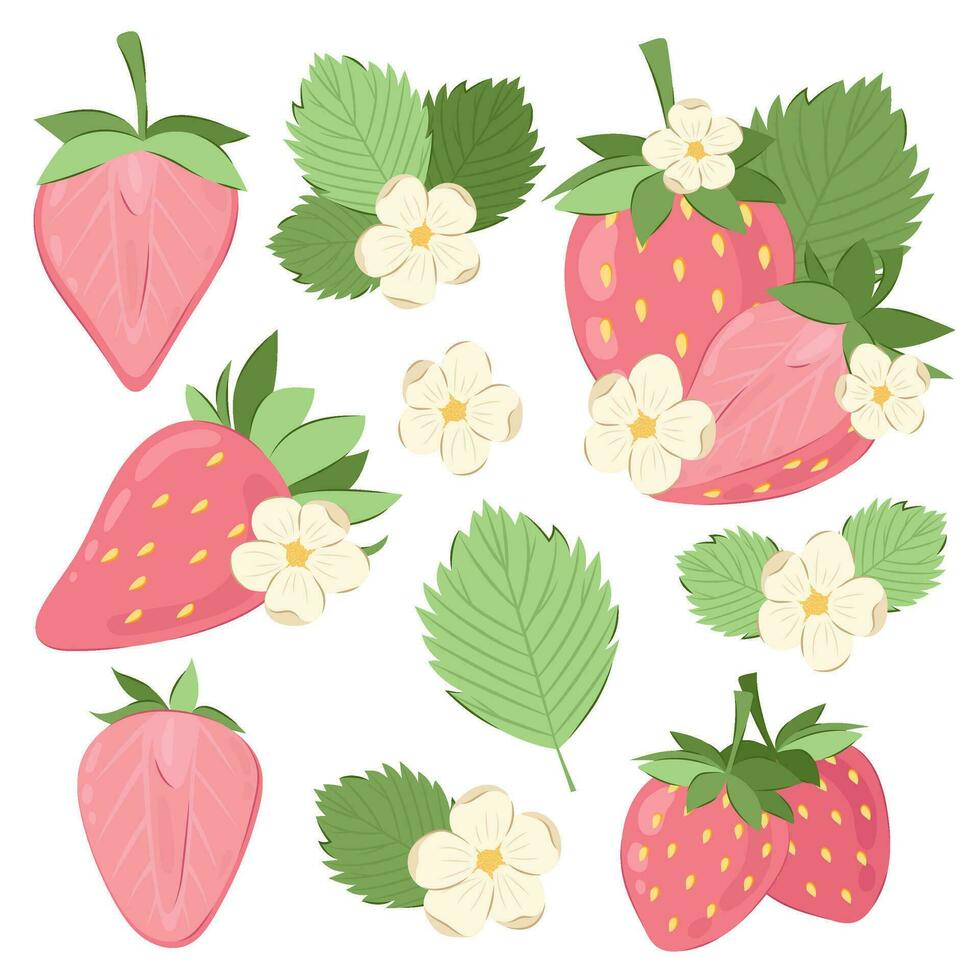 roze rijp aardbei. groot reeks van vector illustraties van aardbeien met bloemen en bladeren.
