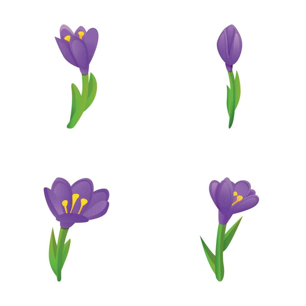 voorjaar krokus pictogrammen reeks tekenfilm vector. helder voorjaar bloem vector