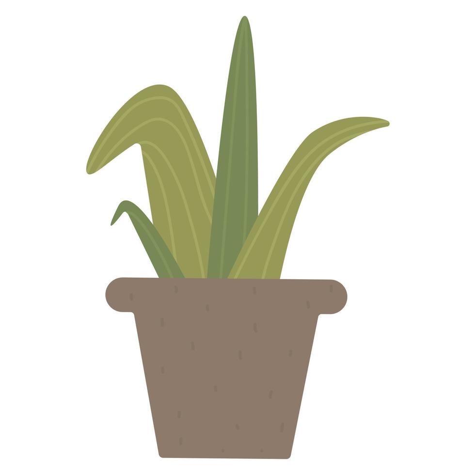 pot succulent, groene kamerplant vector