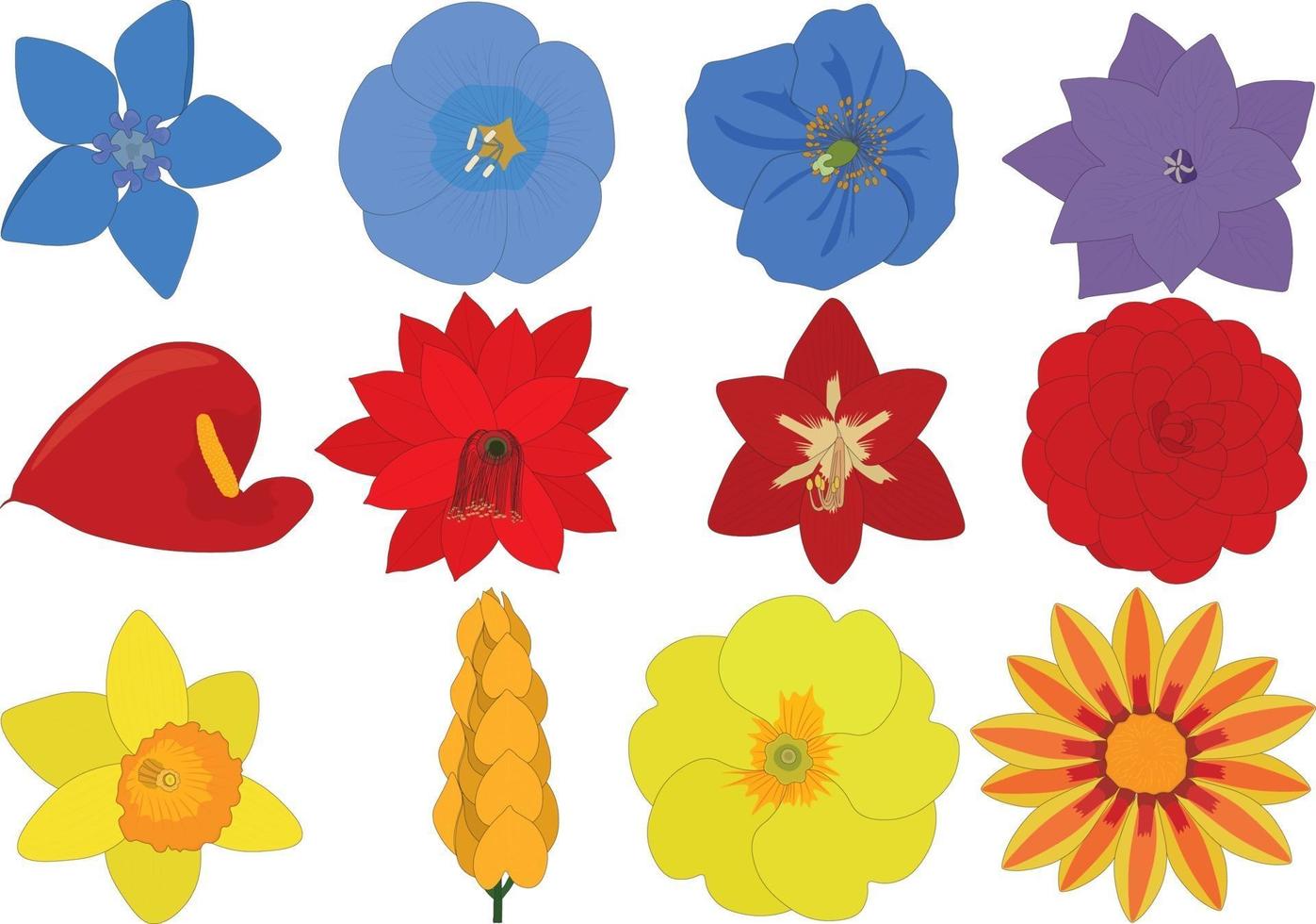 heldere blauwe, rode en gele bloemen collectie vectorillustratie vector