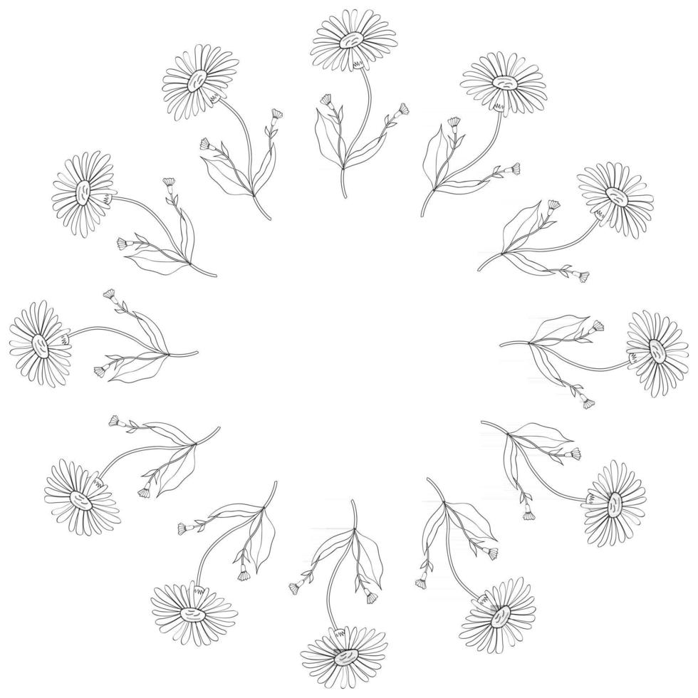 arnica, rond frame vector