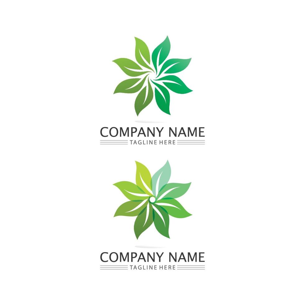 logo's van groene boom blad ecologie ontwerp natuur logo vector