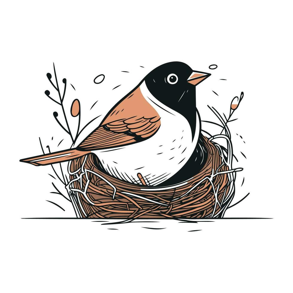 vector hand- getrokken illustratie van een Robin zittend in een nest.