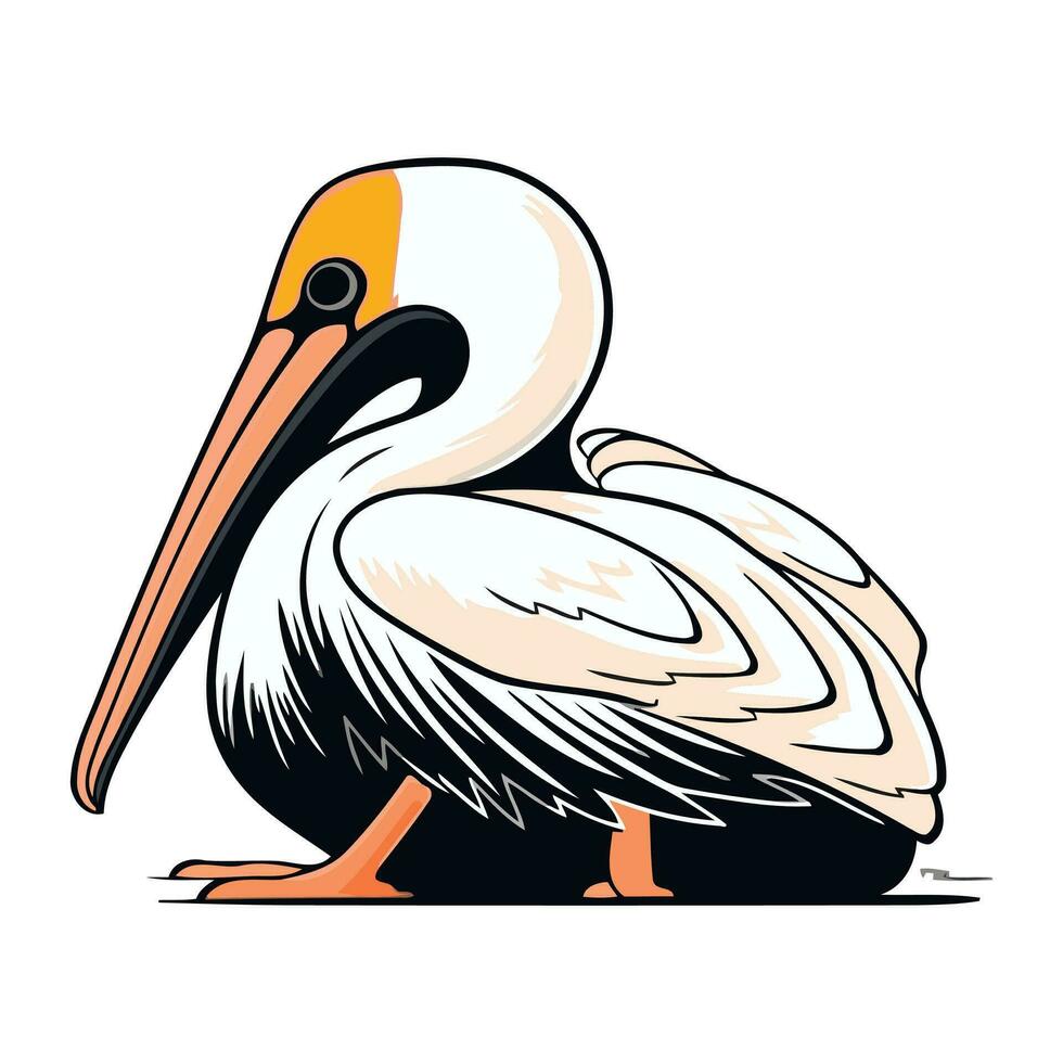 pelikaan Aan een wit achtergrond. vector illustratie van een pelikaan.